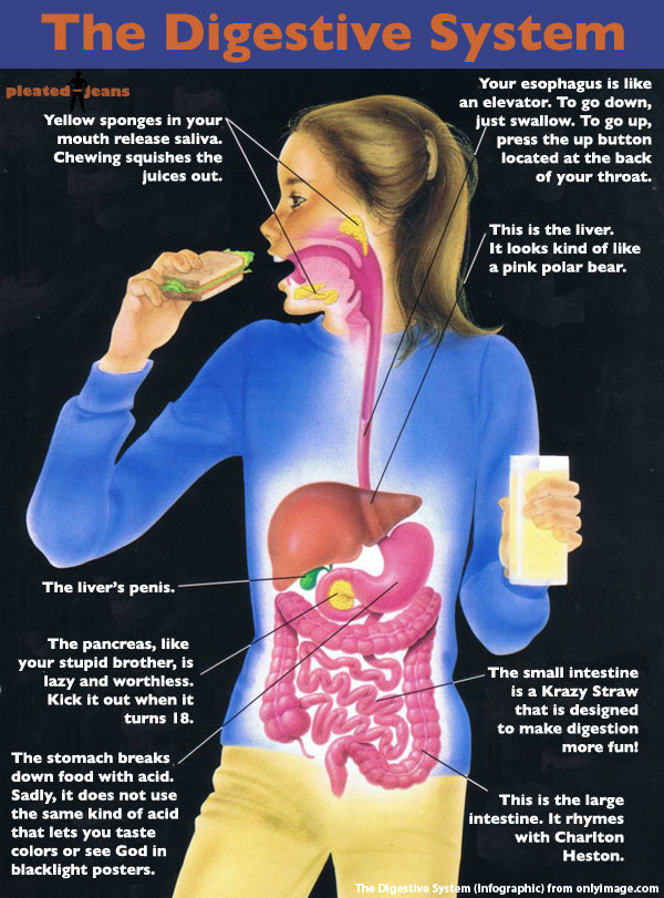 digestive system problems